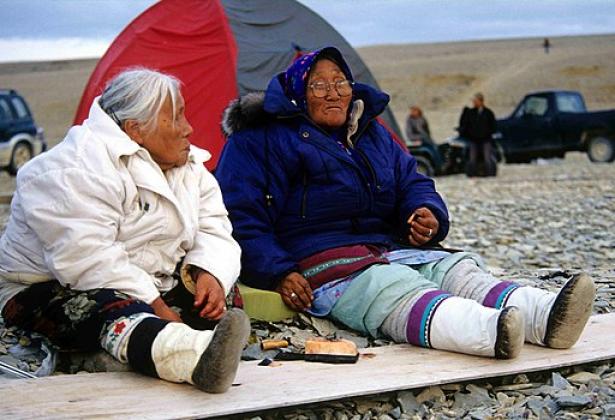 Inuit elders eating Maktaaq, a whale blubber delicacy.
