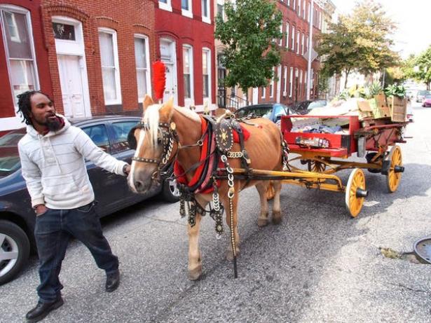 Yusuf Abdullah, one of the city’s horse-cart produce vendors known as arabbers, leads Tony and his cart through the streets of Baltimore, Maryland. 