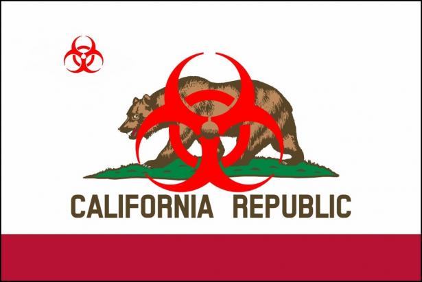 graphic of CA bear with toxic sign