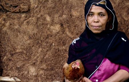 The ILRI has argued that chicken farming is a strong vehicle for small-scale entrepreneurship and female empowerment in Africa.